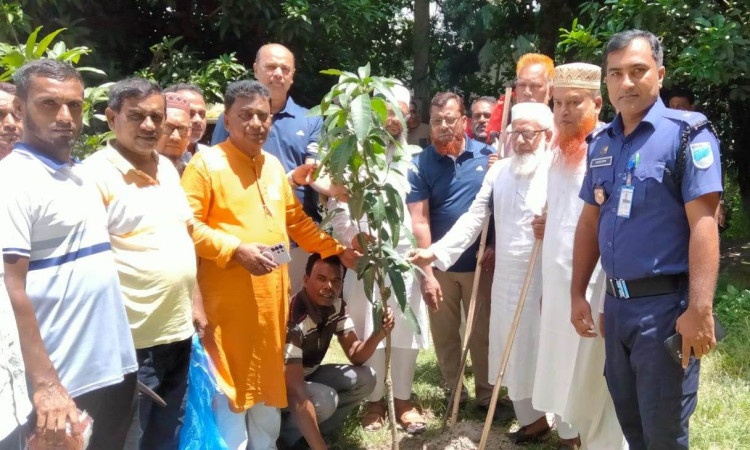 কোটালীপাড়ায় বিএনপির বৃক্ষরোপণ কর্মসূচি পালিত