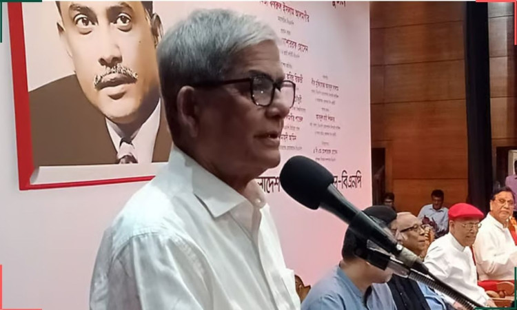 নির্বাচন পেছানোর চেষ্টায় কোনো কোনো রাজনৈতিক দল: মির্জা ফখরুল