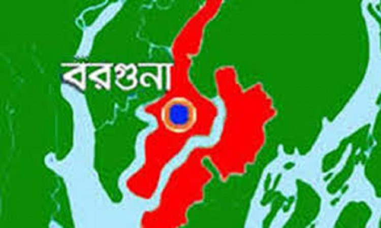 বরগুনা-১ আসনে বিএনপির মনোনয়ন বিতর্ক: কেন্দ্রীয় নেতাদের হস্তক্ষেপের দাবি