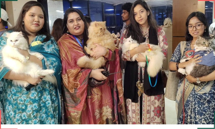 খুলনায় বিড়ালপ্রেমীদের মিলনমেলা