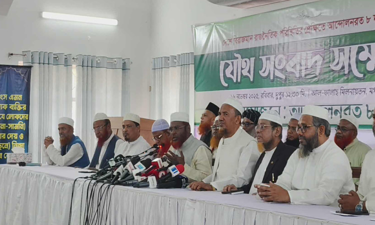 লেভেল প্লেয়িং ফিল্ড এখনো নয়, তবু ইসির ওপর আস্থা’: মিয়া গোলাম পরওয়ার