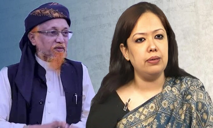 ‘কপাল পুড়ল’ রুমিন ফারহানার, জুনায়েদকে সমর্থন বিএনপির