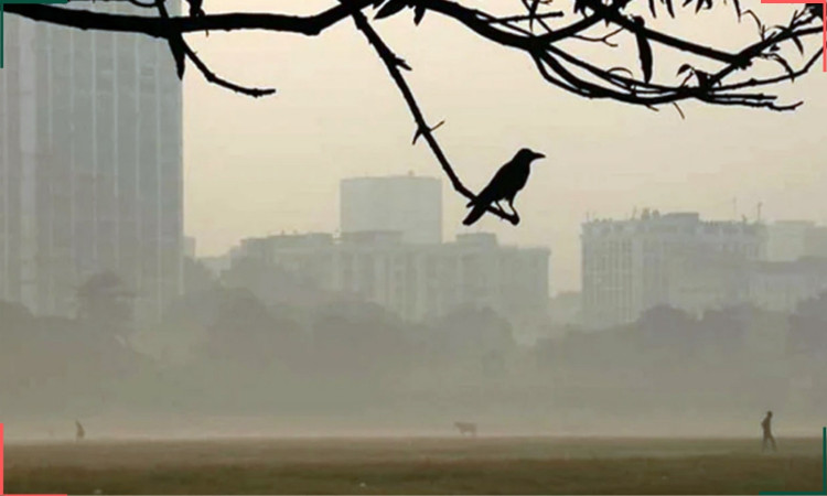 ঢাকায় তাপমাত্রা নেমেছে ১৫ ডিগ্রিতে