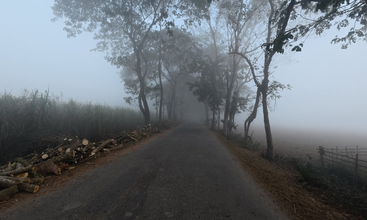 হাড়কাঁপানো শীতে কাঁপছে মানুষ