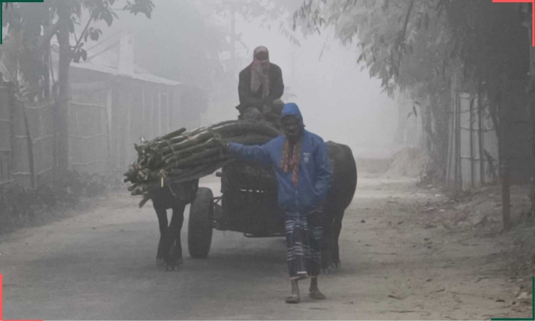 ঘন কুয়াশা ও হিমেল বাতাসে বিপর্যস্ত পঞ্চগড়
