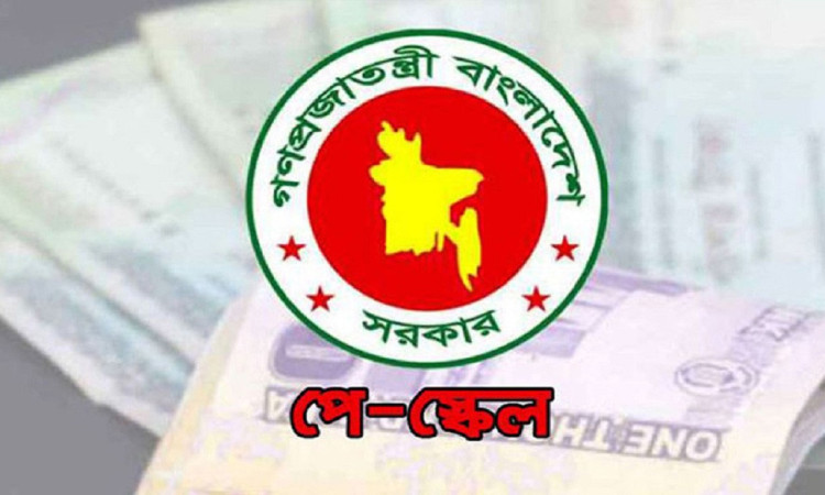 জানুয়ারিতে নতুন পে স্কেল কার্যকর