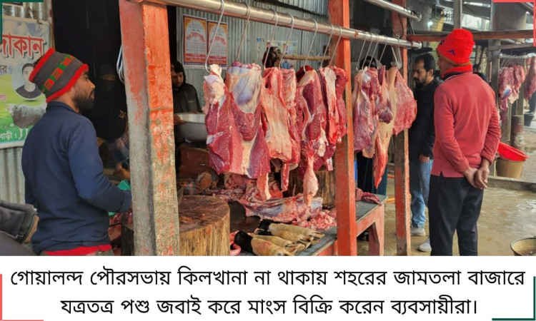 গোয়ালন্দে নেই স্বাস্থ্যসম্মত কিলখানা