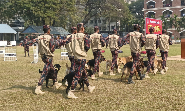 ঢাকাসহ তিন জেলায় ৩৮ প্লাটুন বিজিবি মোতায়েন