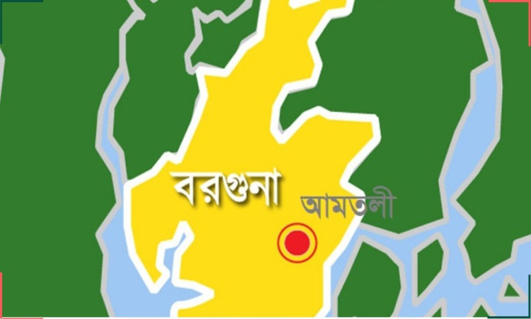 আমতলী কৃষি অফিসে গ্রীল কেটে চুরি