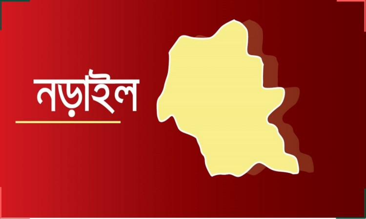 নড়াইল-২ আসনে ত্রিমুখী লড়াই জোরদার