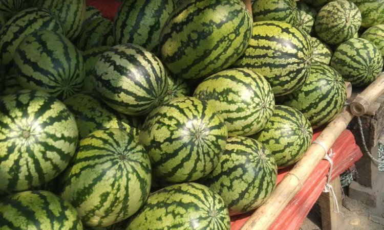 ৯০ টাকা কেজি তরমুজ, বাজারে ক্রেতা কম