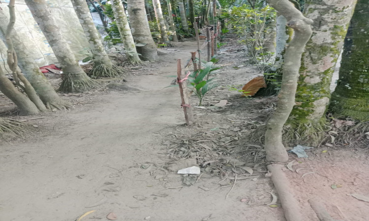 মোহনগঞ্জে বেড়া দিয়ে রাস্তা দখলের অভিযোগ