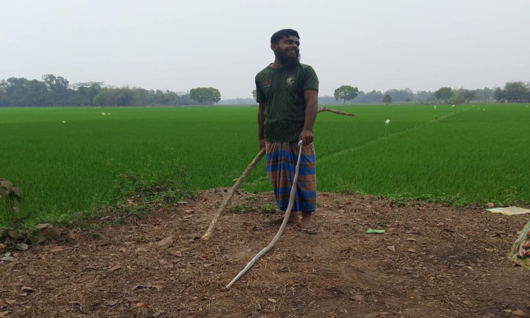 মাধবপুরে দারাস সাপ হত্যা, ফেসবুকে ছবি পোস্টে সমালোচনা