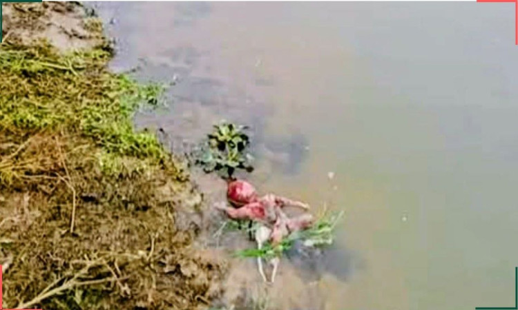 কেন্দুয়ায় নদীতে নবজাতকের মরদেহ, এলাকায় চাঞ্চল্য