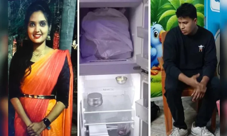 প্রেমিকাকে হত্যার পর টুকরো টুকরো করে ফ্রিজে রাখলেন প্রেমিক!