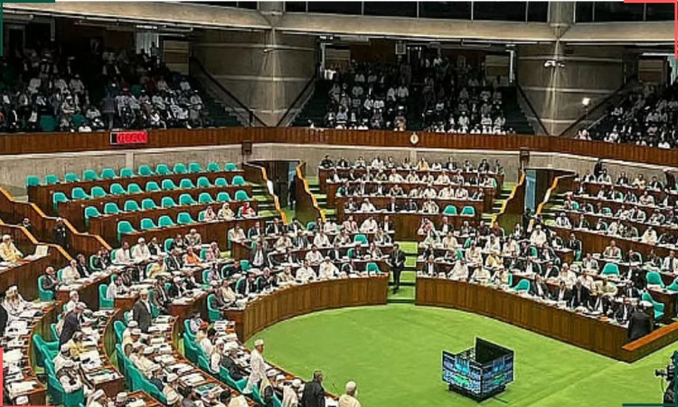 ১৩৩ অধ্যাদেশে বড় পরিবর্তন: কোনগুলো থাকছে, কোনগুলো বাদ