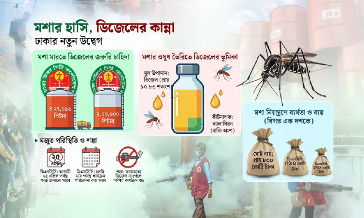 মশা নিয়ন্ত্রণে এবার মড়ার উপর খাঁড়ার ঘা ‘ডিজেল সংকট’
