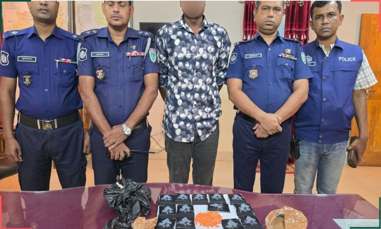 বড়লেখায় পুলিশের অভিযানে বিপুল ইয়াবা উদ্ধার: আটক এক