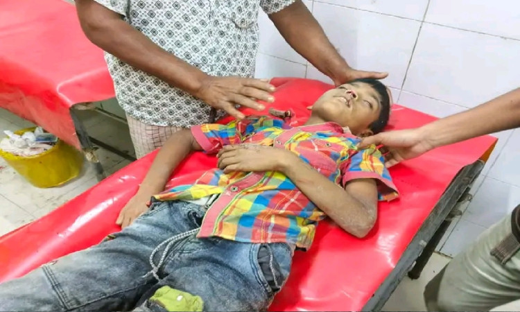 নীলফামারীতে ড্রাম ট্রাকের ধাক্কায় দুই ভাই নিহত