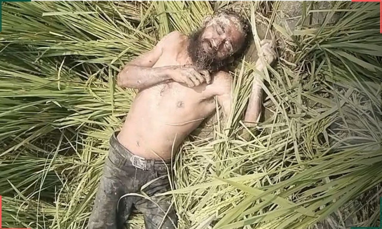 তাড়াশে ধানক্ষেত থেকে এক  ব্যক্তির মরদেহ উদ্ধার