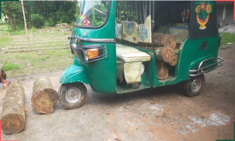 শায়েস্তাগঞ্জে বন বিভাগের অভিযানে আকাশমণি কাঠসহ সিএনজি জব্দ