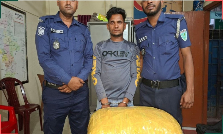 মাধবপুরে ৮ কেজি গাঁজাসহ যুবক গ্রেফতার