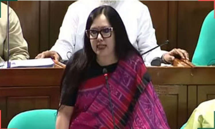 সংসদে জ্বালানি সংকট নিয়ে প্রশ্ন তুললেন রুমিন ফারহানা