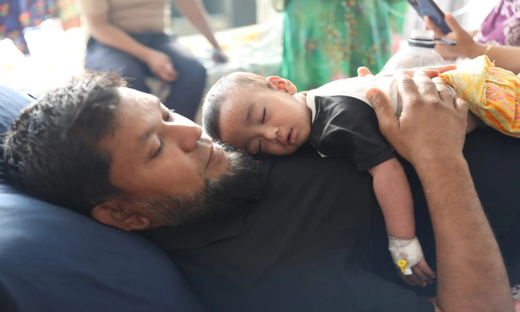 হামের সংকট বাড়ছে, বিশেষজ্ঞদের সুপারিশ বাস্তবায়নে গড়িমসি