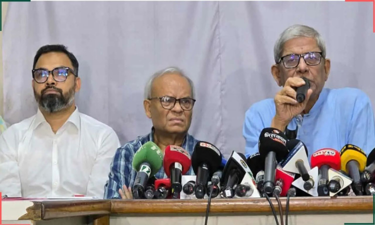 জামায়াত আমির সুস্থ চিন্তা করতে পারে না: মির্জা ফখরুল