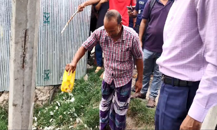 দেবহাটায় চিংড়িতে অপদ্রব্য পুশ: ৫০ হাজার টাকা জরিমানা