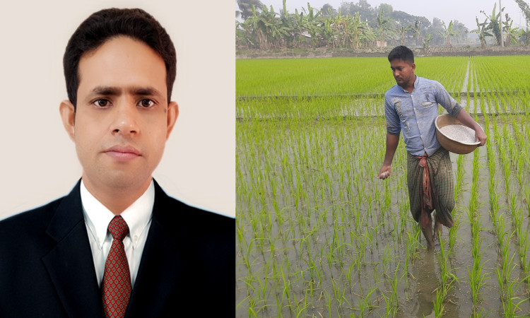 কালিগঞ্জে সিন্ডিকেটের থাবায় কৃষকের ৭৫ কোটি টাকা লোপাট