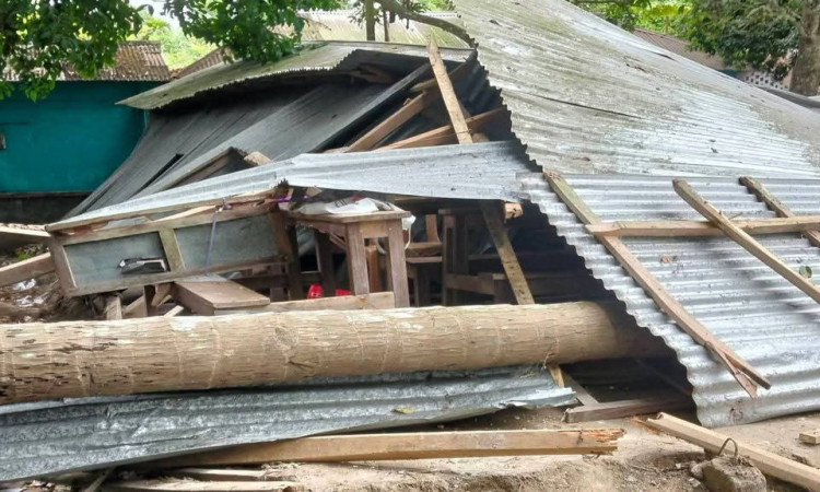 নড়াইলে শ্রেণিকক্ষে ক্লাস চলাকালে ঝড়ে গাছ ভেঙে পড়ে আহত ২