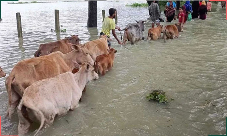 টানা বর্ষণে সিলেটে নদীর পানি বৃদ্ধি, বন্যার শঙ্কা