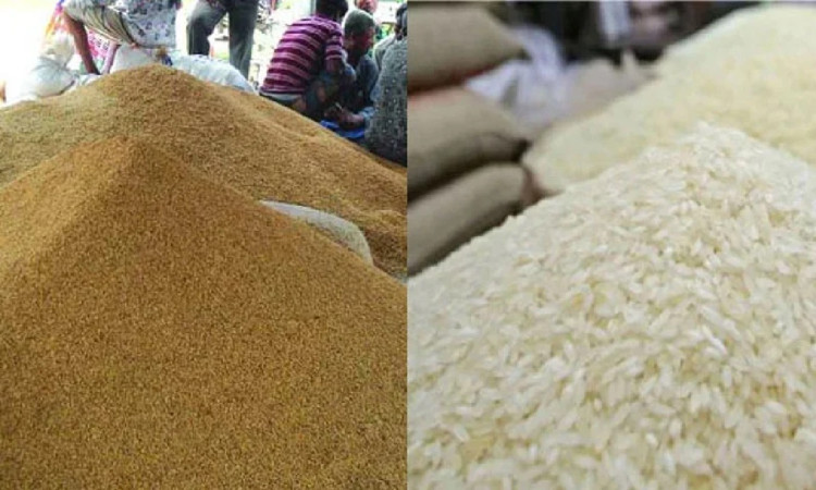বন্যার কারণে আগেই শুরু হচ্ছে ধান-চাল সংগ্রহ