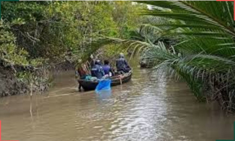 সুন্দরবন থেকে দুই বনজীবীকে অপহরণ, মুক্তিপণ দাবি