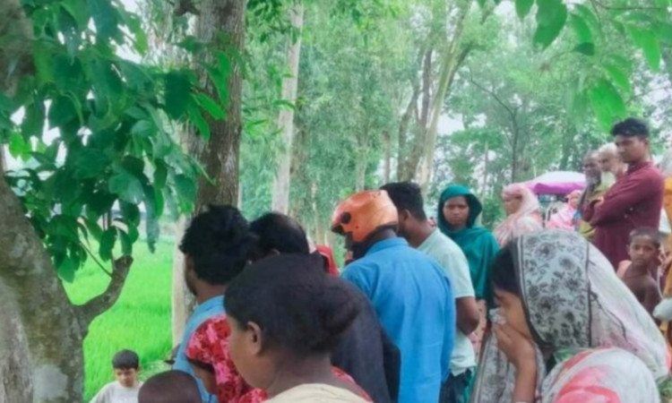 উল্লাপাড়ায় রাস্তার পাশে নবজাতকের মরদেহ উদ্ধার