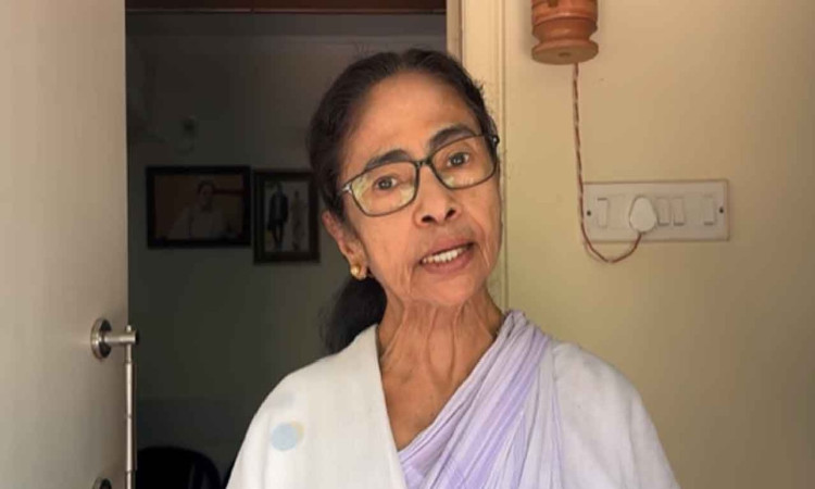 ওয়েট অ্যান্ড সি, আমরা বাঘের বাচ্চার মতো লড়াই করে যাব: মমতা