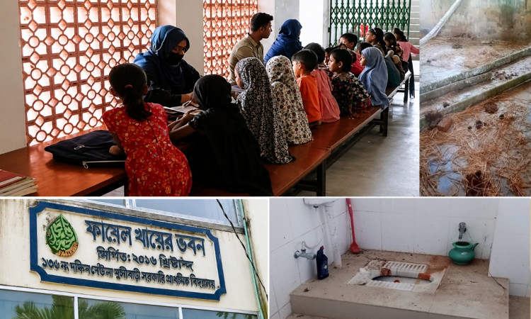 ভোলার স্কুল ভবনে গরু-ছাগল, নোংরা পরিবেশে ক্লাস