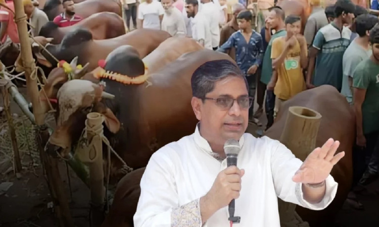 কুরবানির হাটে চাঁদাবাজি সহ্য করা হবে না: প্রতিমন্ত্রী