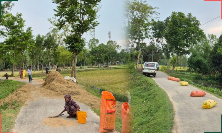 চুনারুঘাটে সড়কে ধান-খড় শুকানোয় বাড়ছে দুর্ঘটনা