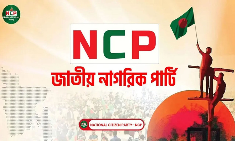 ১৫ মাসেও পূর্ণাঙ্গ কমিটি গঠন করতে পারেনি এনসিপি