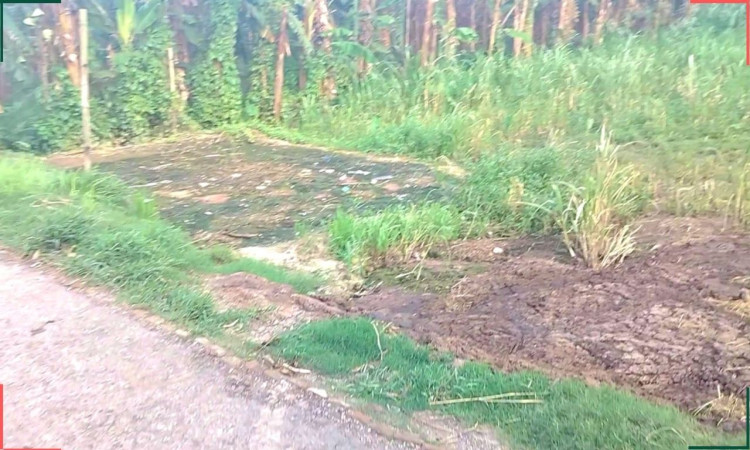 কোটান্দরে খামারের বর্জ্যে জনদুর্ভোগ চরমে, হুমকিতে জনস্বাস্থ্য