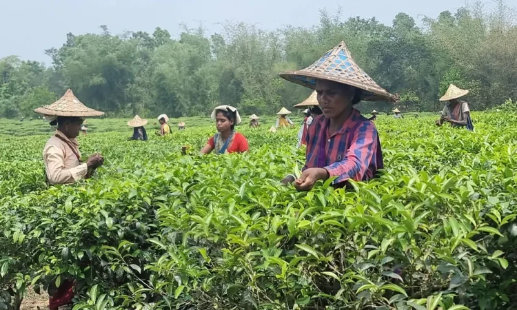 চায়ের কাপে সুখ মেশানো মানুষগুলোর নিজের জীবনই বিষাদে ভরা