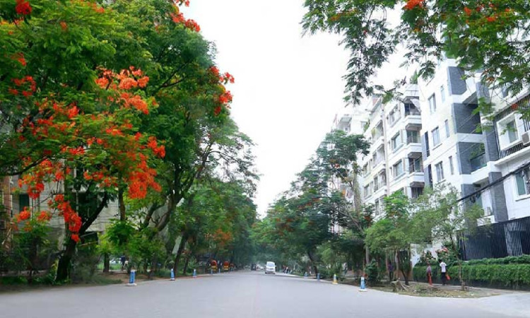বসুন্ধরা আলাদা কোনো দেশ নয়, রাষ্ট্রের ভেতর রাষ্ট্র থাকতে পারে না: নগর পরিকল্পনাবিদ