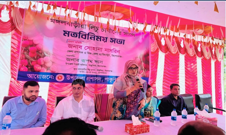 আড়াইশ বছরের ঐতিহ্যবাহী মঙ্গলবাড়িয়ার লিচু রক্ষায় মাঠে জেলা প্রশাসক