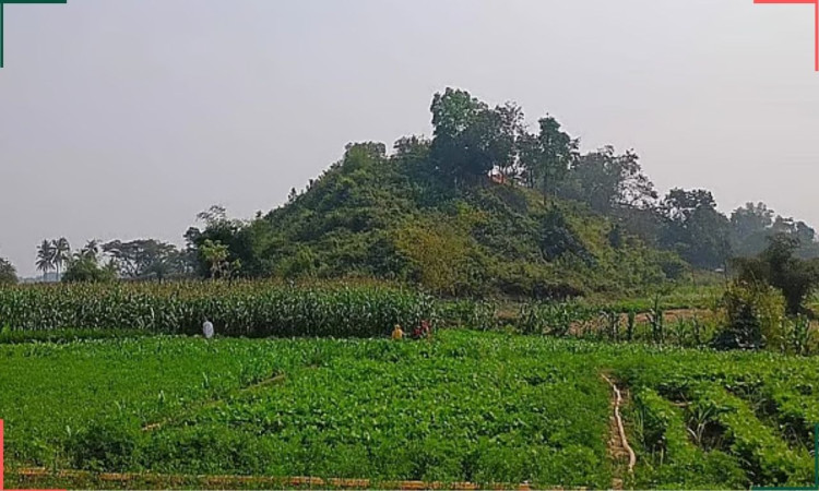 নাইক্ষ্যংছড়ির ঘুমধুম সীমান্তে মাইন বিস্ফোরণে ৩ বাগানচাষি নিহত