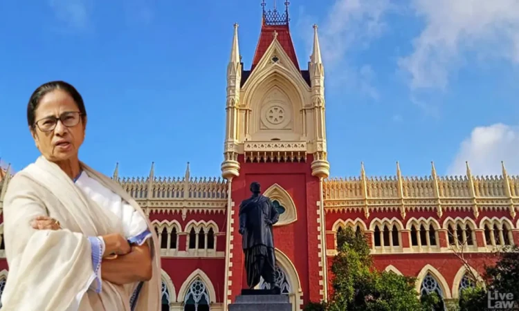 ইভিএম নিয়ে প্রশ্ন তুলে আদালতে যেতে চায় তৃণমূল