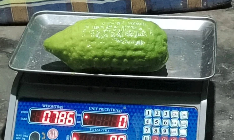 ক লেবুই ৮০০ গ্রাম, দাম ২০০ টাকা