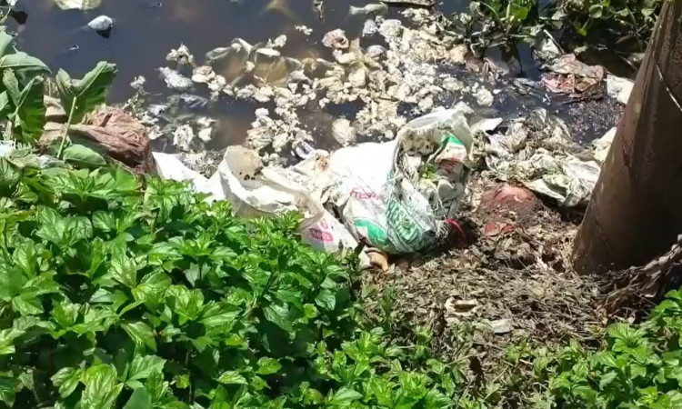 মাদারীপুরে পুকুরে পশুর চামড়ার বর্জ্য ফেলে ১০ লক্ষাধিক টাকার মাছ নিধনের অভিযোগ