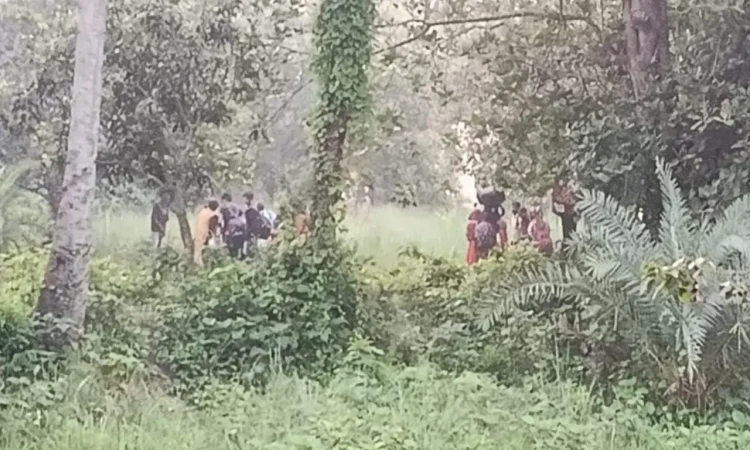 পুশইনে ব্যর্থ হয়ে ২৮ জনকে ফিরিয়ে নিল বিএসএফ